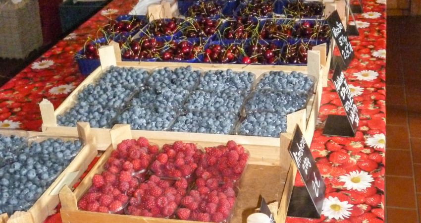 Obsthof Prüllage im Oldenburger Münsterland