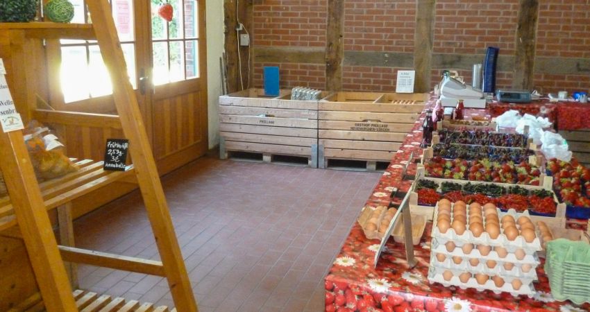 Obsthof Prüllage im Oldenburger Münsterland
