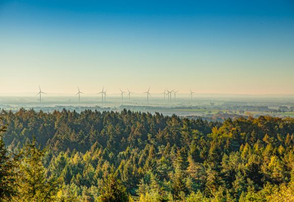 Ausblick aus den Dammer Bergen